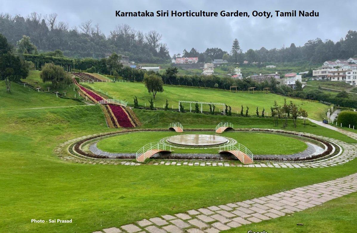 Ooty Tea Gardens