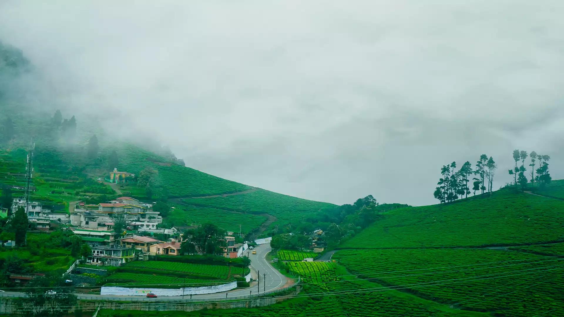 Sim's Park Coonoor