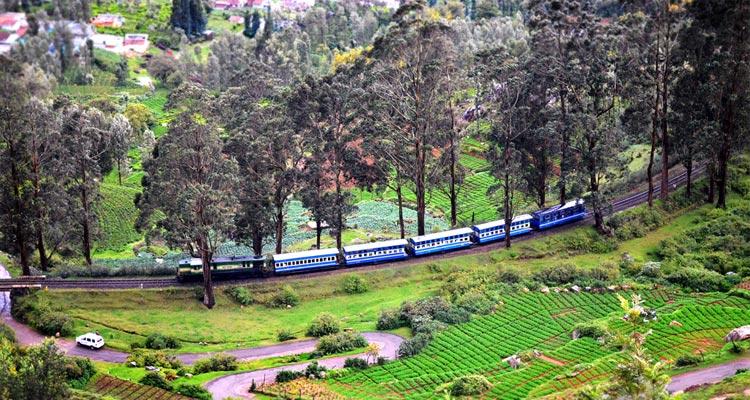 Lamb's Rock Coonoor